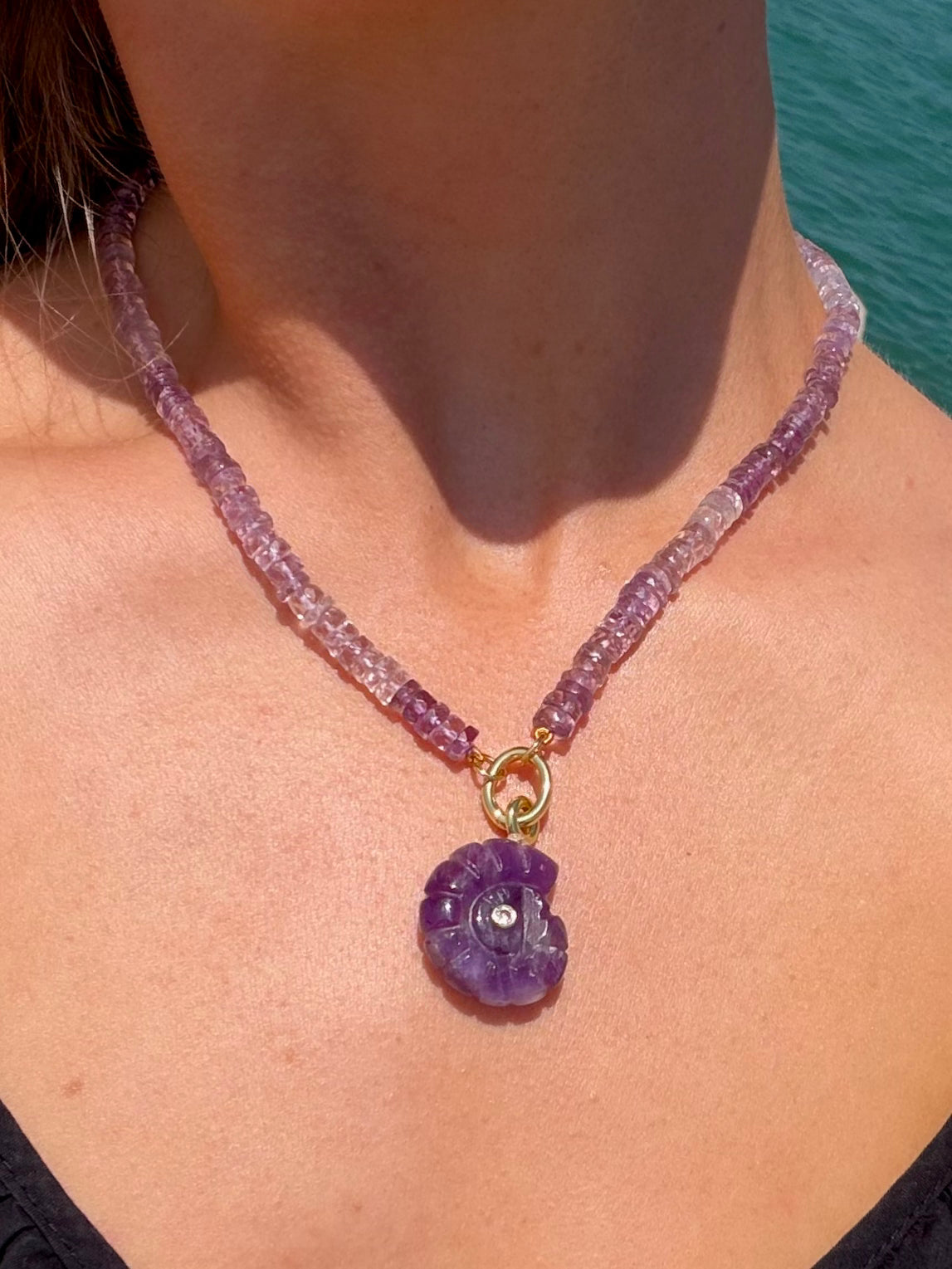 Purple Shell Ketting